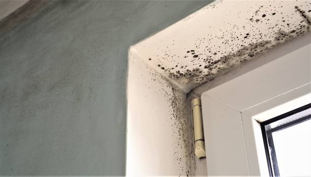 Best Indoor Air Quality Assessment  in Marana, AZ