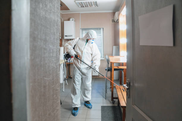 Best Mold Odor Removal Services  in Marana, AZ