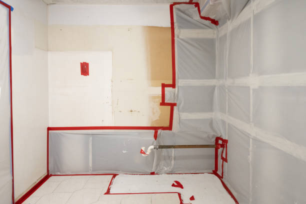 Best Dehumidification Services  in Marana, AZ