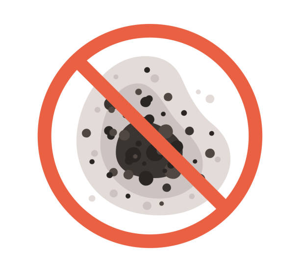 Biohazard Mold Removal in Marana, AZ